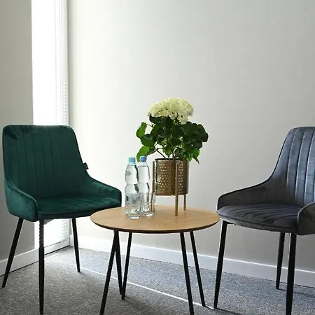 Parrot 2* راشين